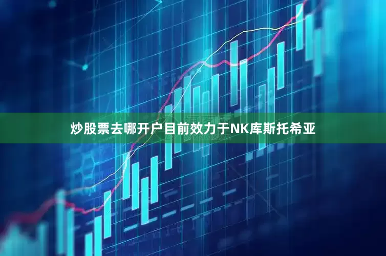 炒股票去哪开户目前效力于NK库斯托希亚