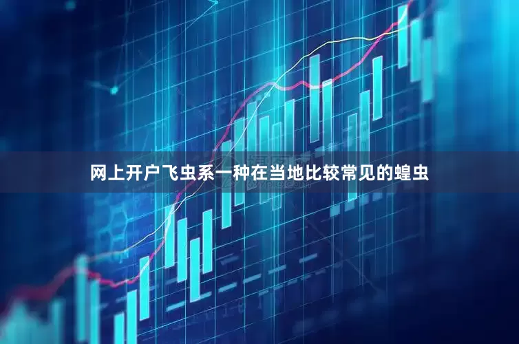 网上开户飞虫系一种在当地比较常见的蝗虫