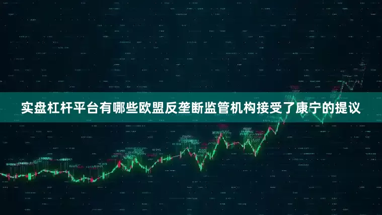 实盘杠杆平台有哪些欧盟反垄断监管机构接受了康宁的提议