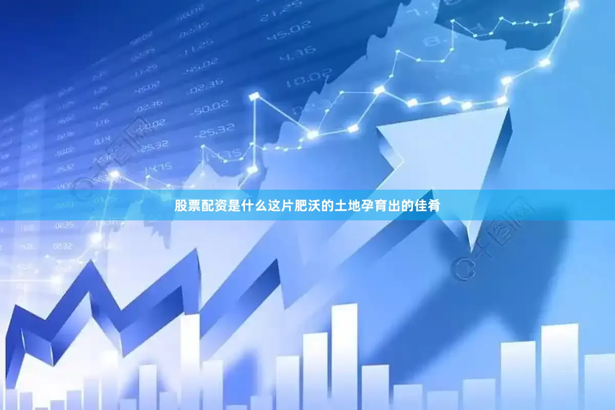 股票配资是什么这片肥沃的土地孕育出的佳肴